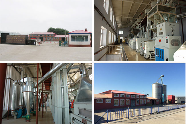 鹤岗市金龙米业有限公司